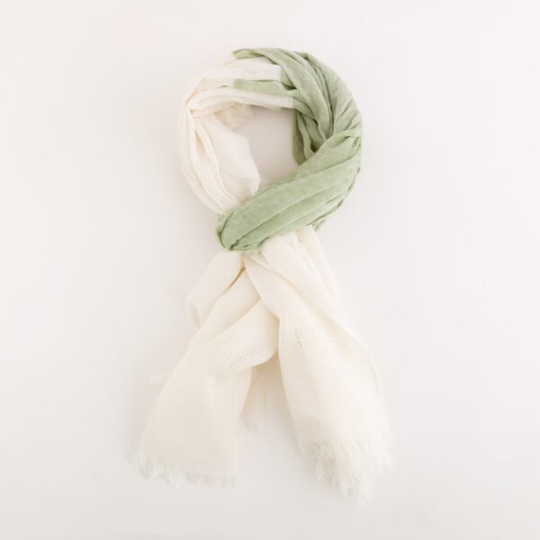 Paola Pashmina – Image 2