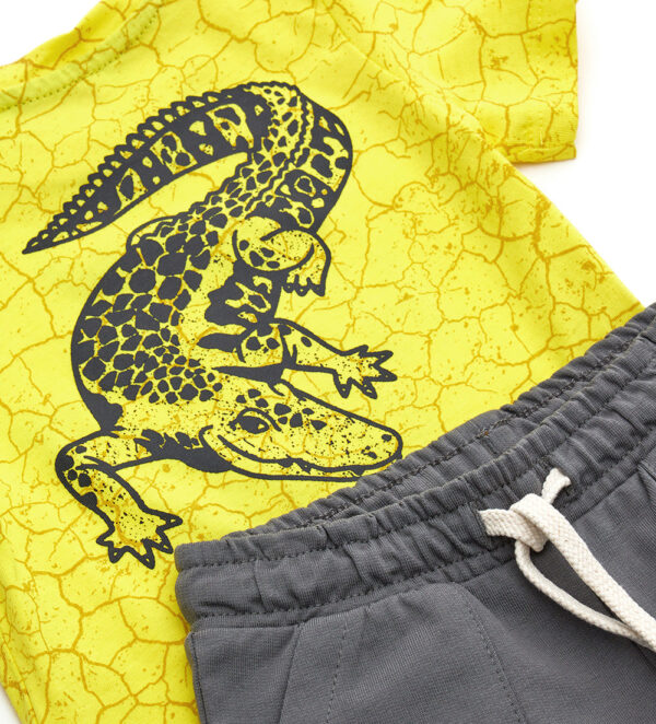 Sunny sunday baby boy t-shirts and shorts sets 13 – Image 4
