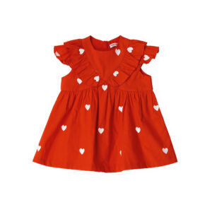 Special Day Baby girl Dress With Embroidery