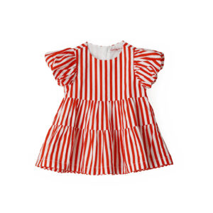 Special Day Baby girl Dress With Print