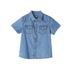 Special day boy denim shirt