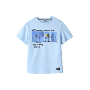 Special Day Boy T-Shirt With Embroidery