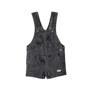 Sunny sunday baby boy looney tunes overalls