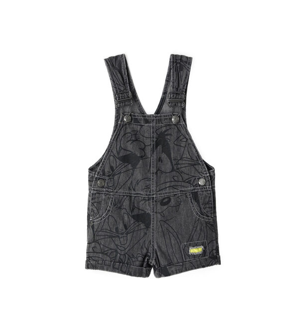Sunny sunday baby boy looney tunes overalls