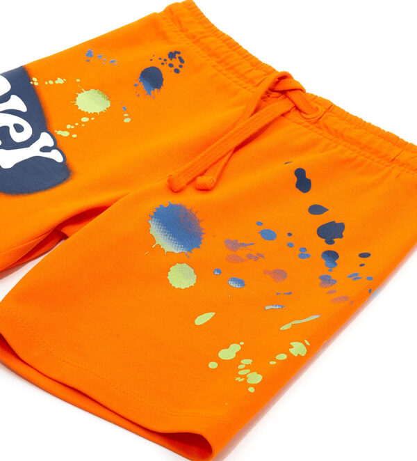 Surf Spirit Boy Shorts Warner Looney Tunes – Image 9