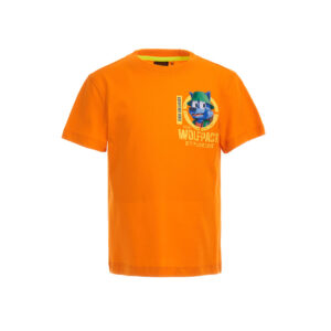 Colorful adventures boy short sleeve t-shirt 31