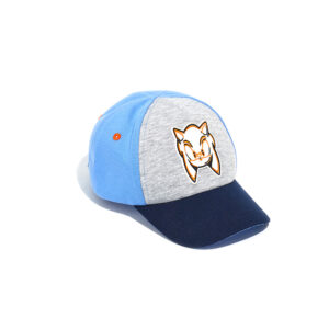 Basico spring boy sonic hat