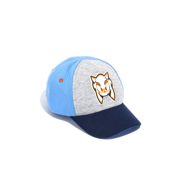 Basico spring boy sonic hat