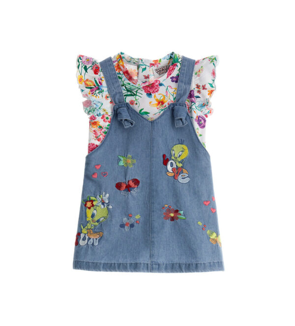 Colorfully baby girl warner tweety overall set