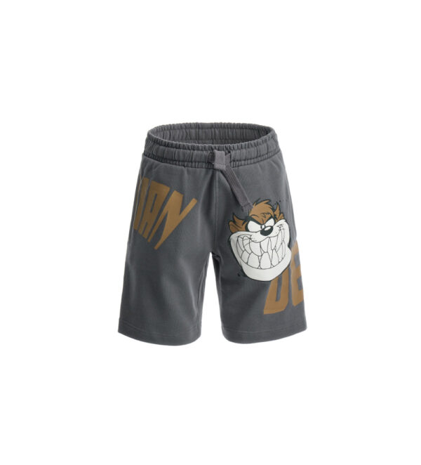 Ethno beach  boy bermuda warner bros 1 – Image 6
