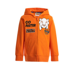Desert shade boy sonic long sleeve sweatshirt