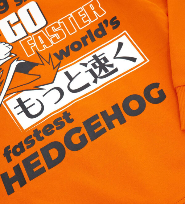 Desert shade boy sonic long sleeve sweatshirt – Image 3