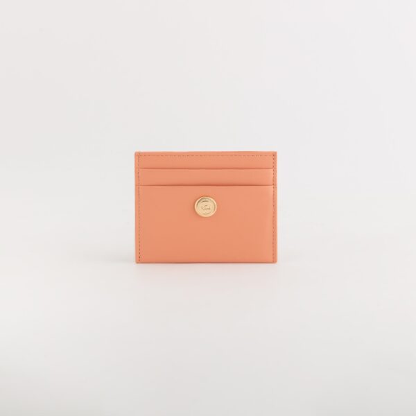 Anturio Wallet Accessories Credit Card Holder
