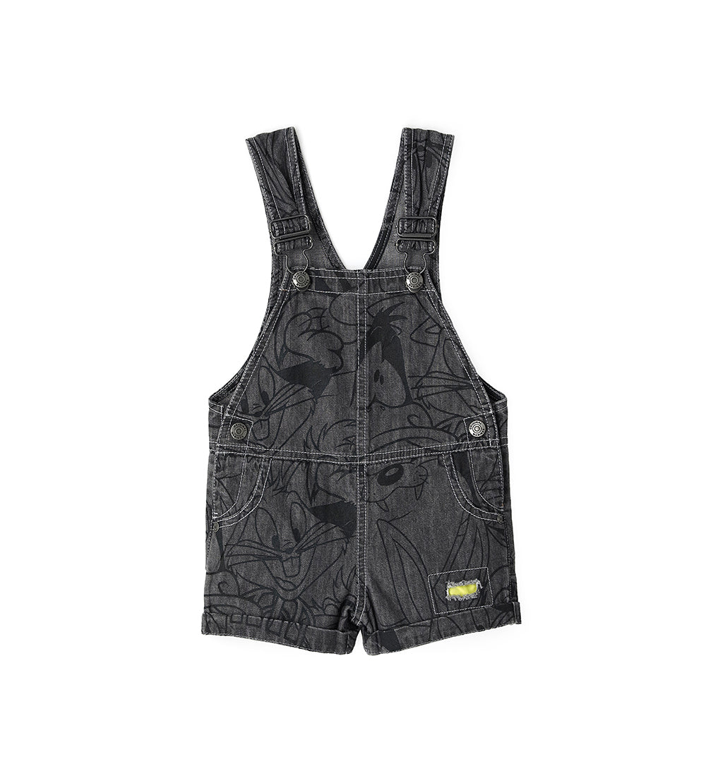 Sunny sunday baby boy looney tunes overalls