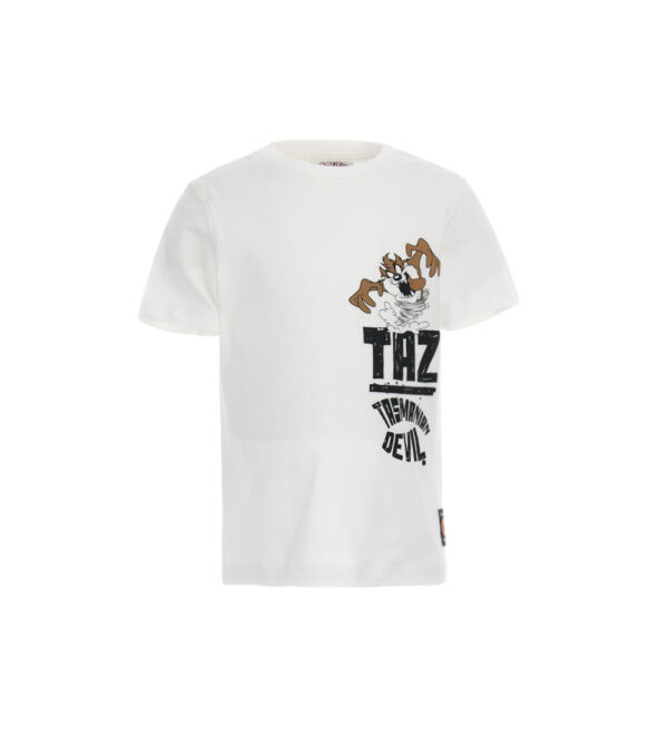 Ethno beach  boy warner bros t-shirt 1 – Image 9