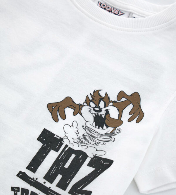 Ethno beach  boy warner bros t-shirt 1 – Image 11