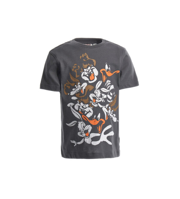 Ethno beach  boy warner bros t-shirt 1
