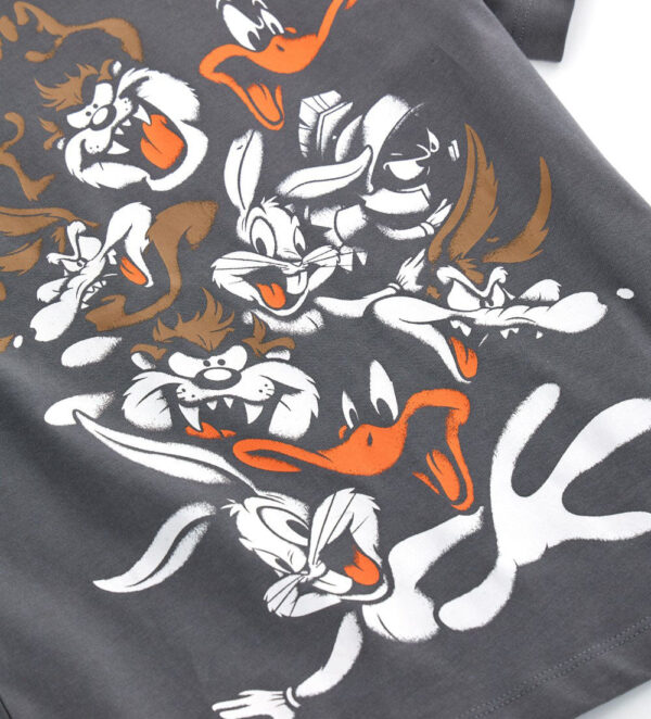 Ethno beach  boy warner bros t-shirt 1 – Image 3