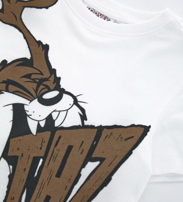 Ethno beach  boy warner bros t-shirt 1 – Image 8