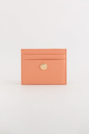 Anturio Wallet Accessories Credit Card Holder