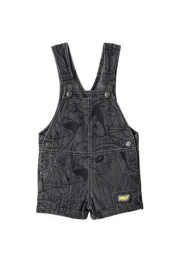 Sunny sunday baby boy looney tunes overalls