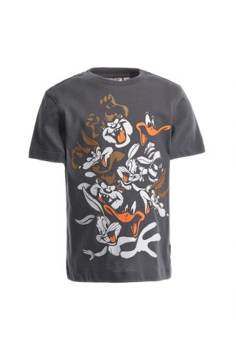 Ethno beach  boy warner bros t-shirt 1