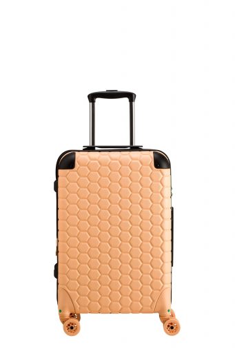 Gotech Green Unisex  Small Hard Trolleys
